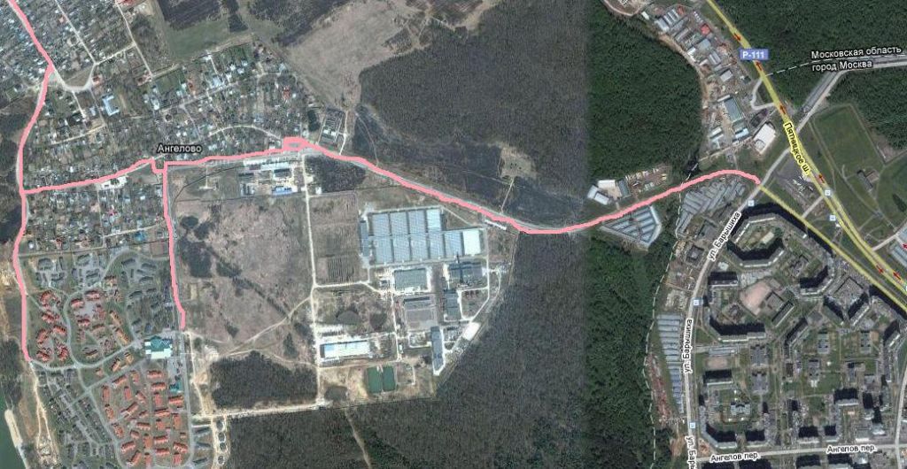 37456892.jpg