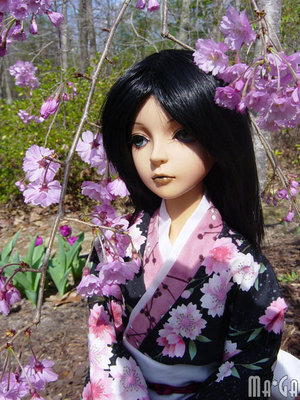 Куклы Paranoia Doll. фото, история, магазины, цены 29994473