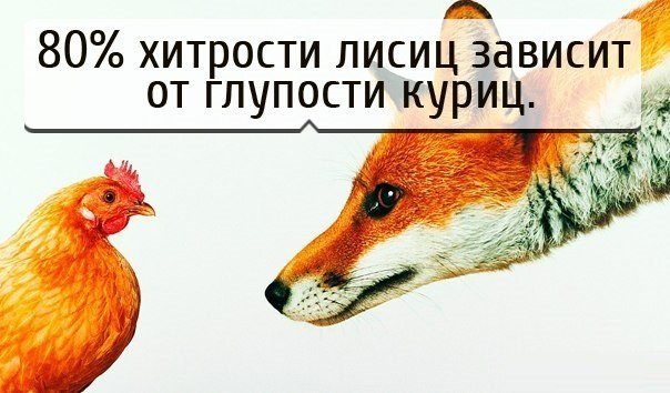 http://static.diary.ru/userdir/3/0/0/1/3001475/80313092.jpg