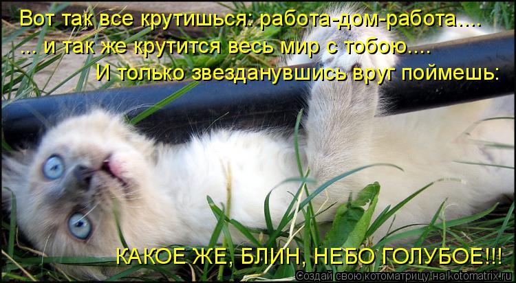 http://static.diary.ru/userdir/3/1/0/4/3104098/81946560.jpg