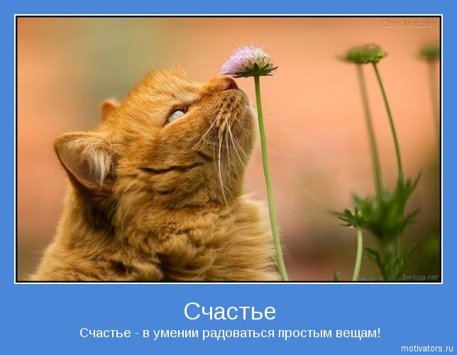 http://static.diary.ru/userdir/3/1/0/6/310620/66881859.jpg