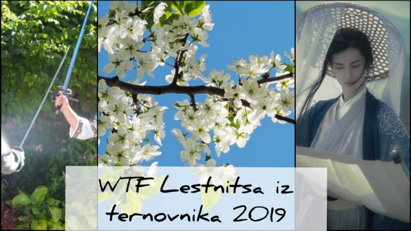 WTF Lestnitsa iz Ternovnika 2019