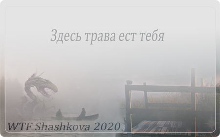 WTF Shashkova 2020