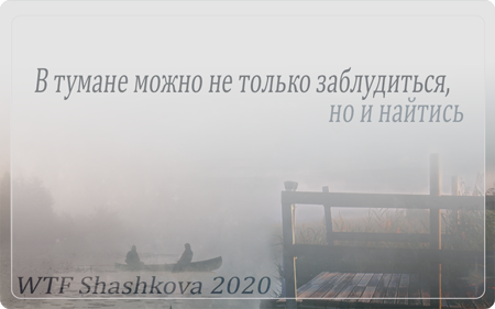 WTF Shashkova 2020