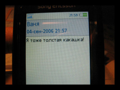 http://static.diary.ru/userdir/6/5/3/4/65346/11215926.jpg