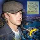 Slow Hands by Niall Horan