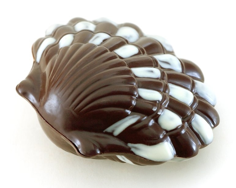 Belgium Marine Shells Chocolate