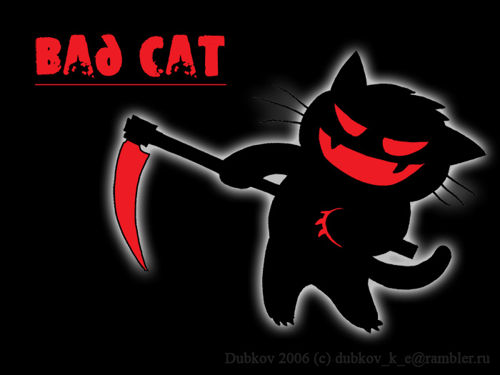 Картинка bad cat