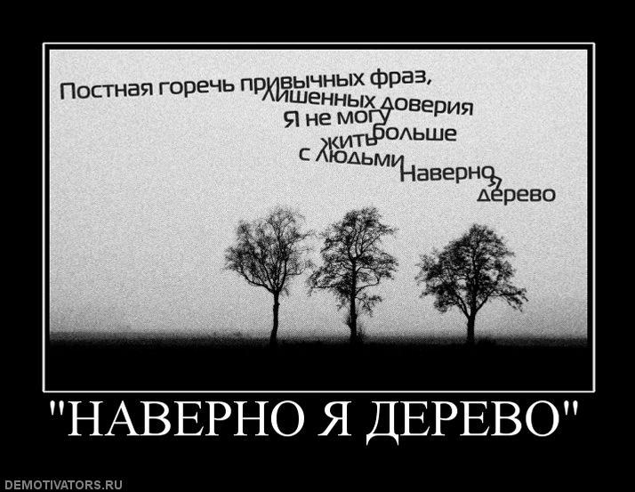 Чем занимаешься смотрю как деревья растут все суетишься картинка с монахом