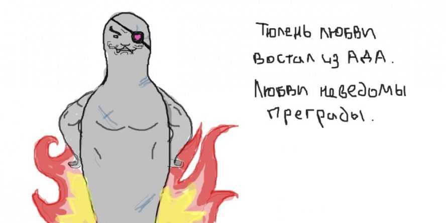 Тюлень любви картинки