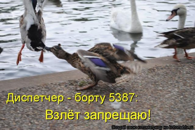 http://static.diary.ru/userdir/1/9/4/1/194103/57678717.jpg