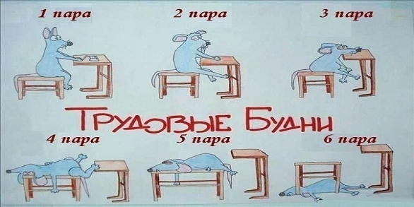 Будни проект. Смешное про трудовые будни. Трудовые будни рисунок. Трудовые будни картинки. Трудовые будни лисы.