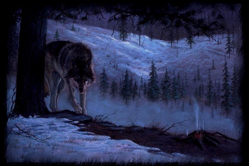 Бредешь в лесу. Волк в ночном зимнем лесу. Волк в лесу ночью. Волк в ночи. Волки зимой в лесу ночью.