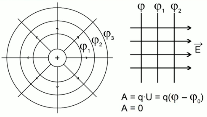Эквипотенциальные поверхности точечного заряда рисунок