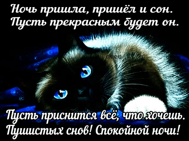 Ну вот и все пришла пора. Ночь настала спать пора. Доброй ночи спокойного сна. Хорошей ночи.