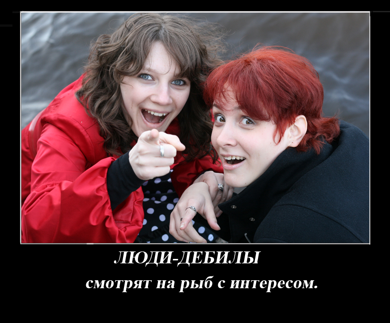 Картинка 2 дебила