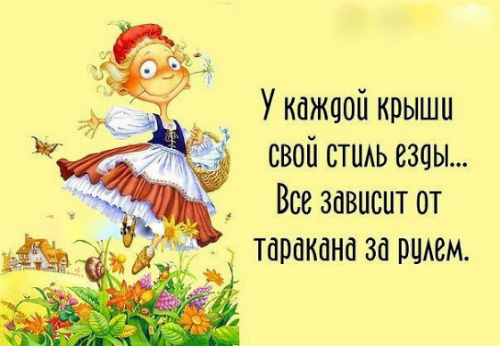 Моя крыша может ездить по разному все зависит от таракана который сегодня за рулем картинки